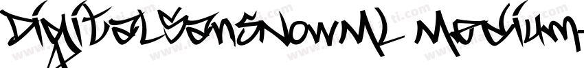 DigitalSansNowML Medium字体转换